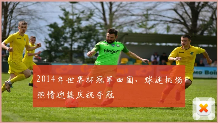 2014年世界杯冠军回国，球迷机场热情迎接庆祝夺冠